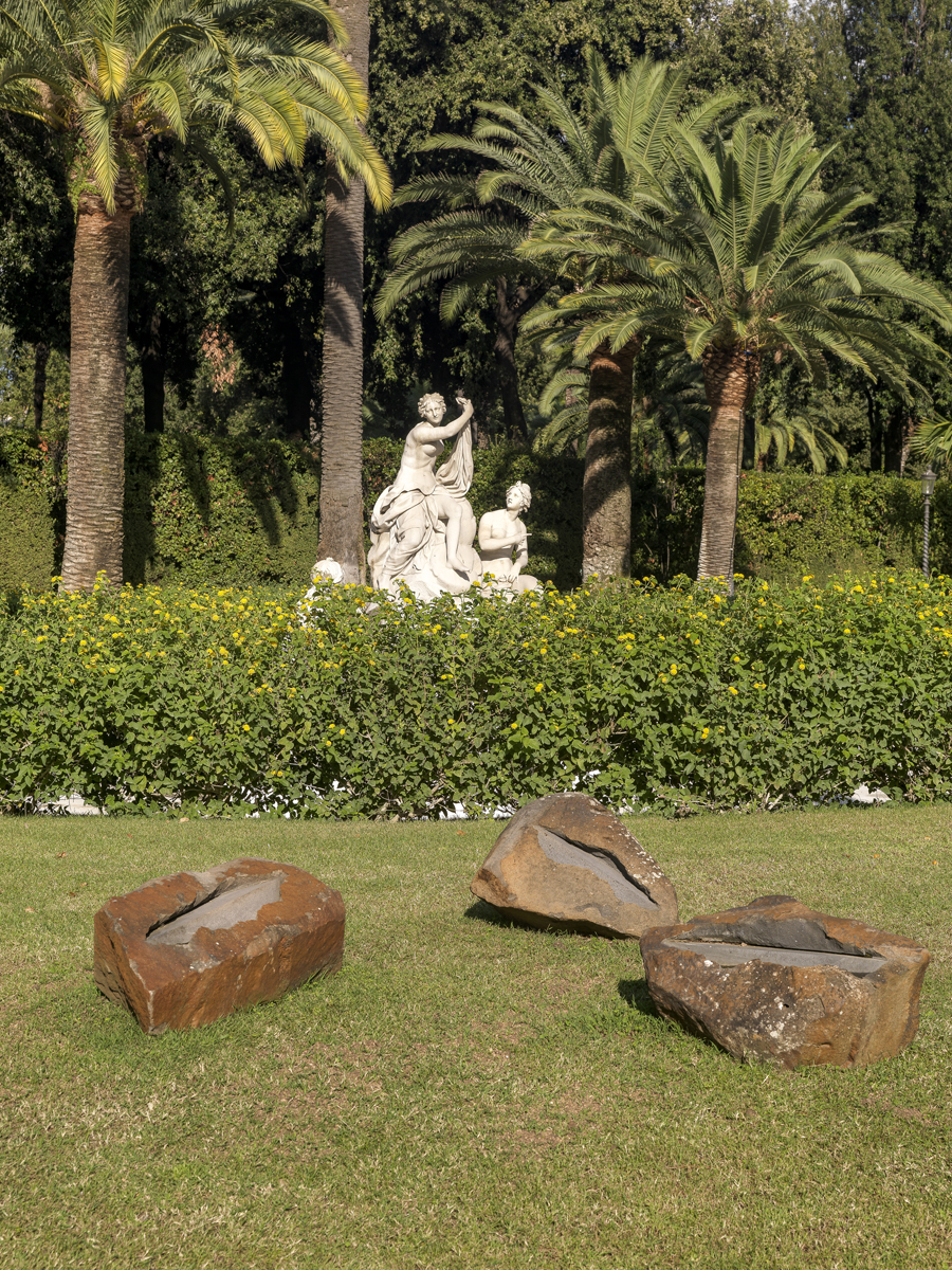 Semi della Pace